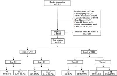 Does Serum Uric Acid Status Influence the Association Between Left Atrium Diameter and Atrial Fibrillation in Hypertension Patients?